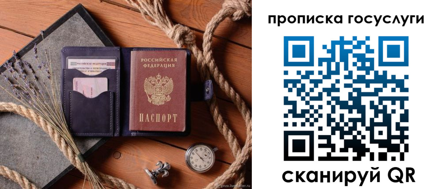прописка поиск в Коле